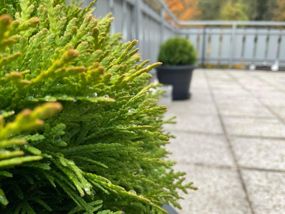 Ferienwohnung Schwarzwald Tannenzaepfle Baiersbronn Esterno foto