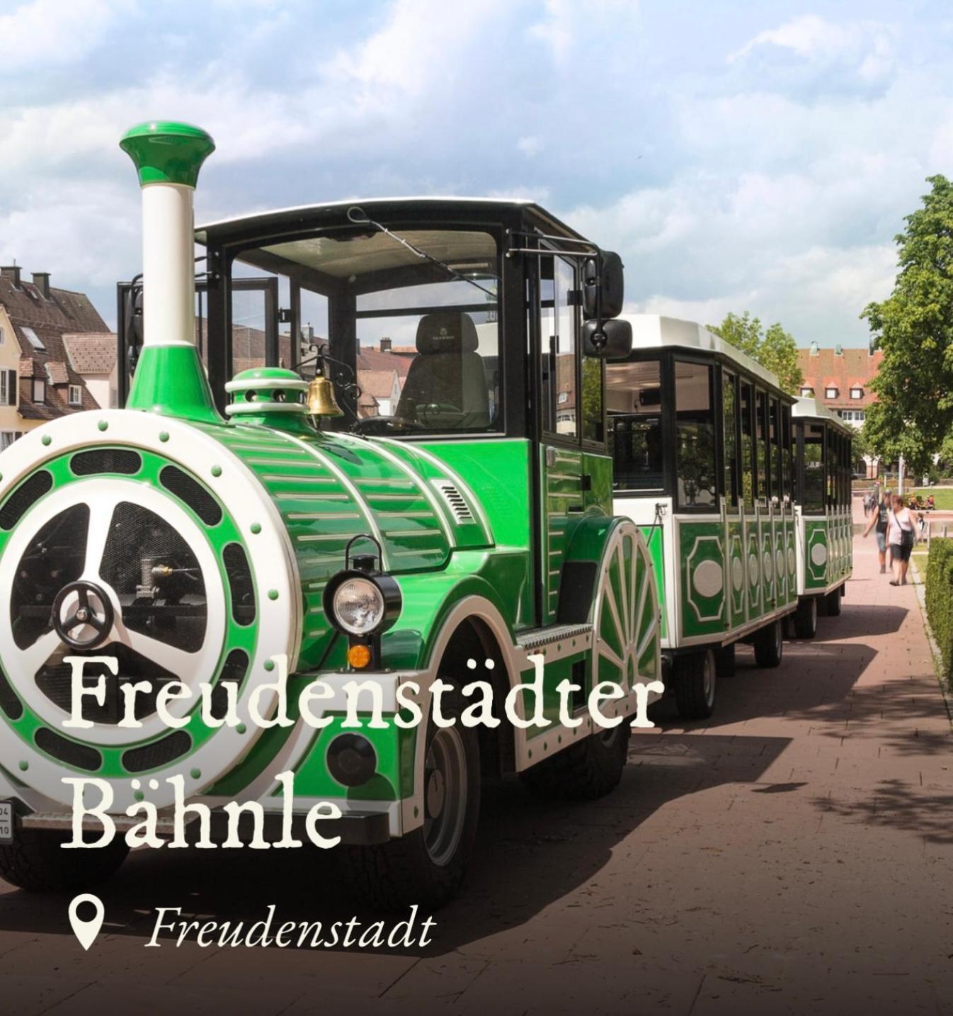 Ferienwohnung Schwarzwald Tannenzaepfle Baiersbronn Esterno foto