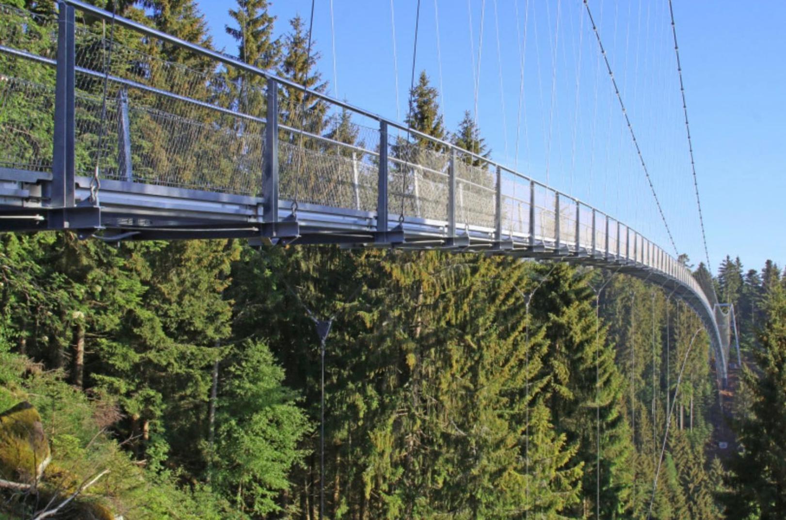 Ferienwohnung Schwarzwald Tannenzaepfle Baiersbronn Esterno foto