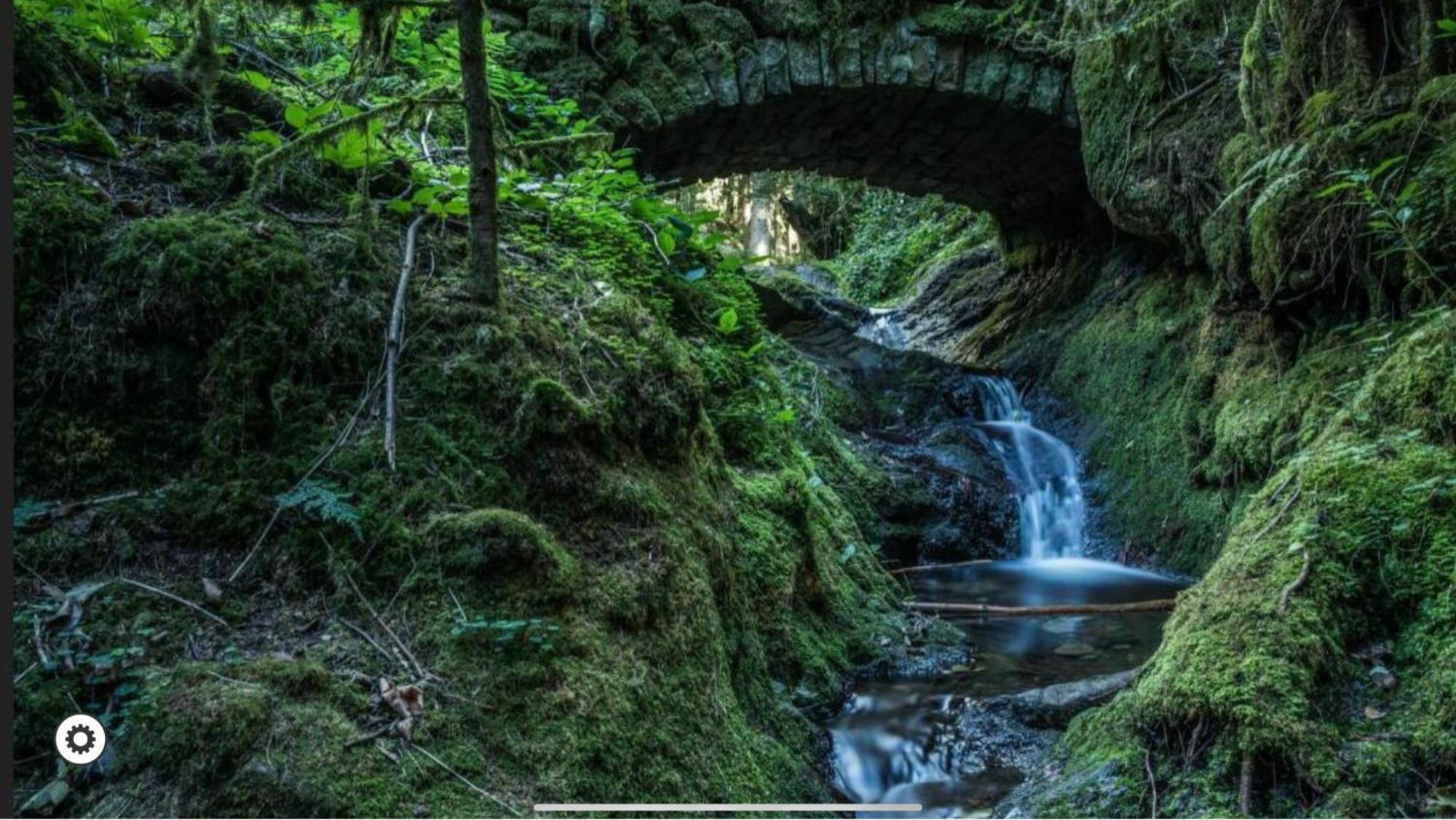 Ferienwohnung Schwarzwald Tannenzaepfle Baiersbronn Esterno foto